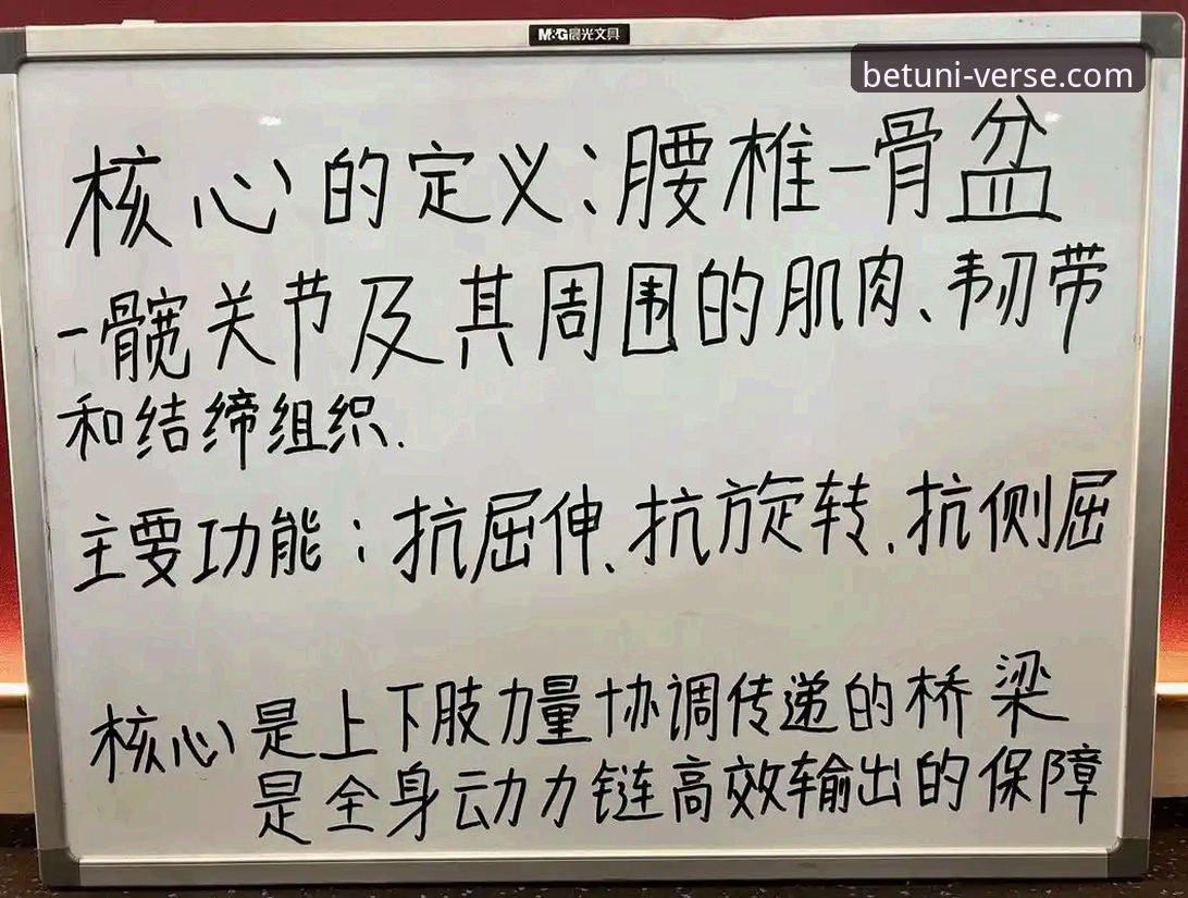 U尼贝特体育深度使用心得：资深玩家教你破解常见问题，掌握赔率分析核心技巧
